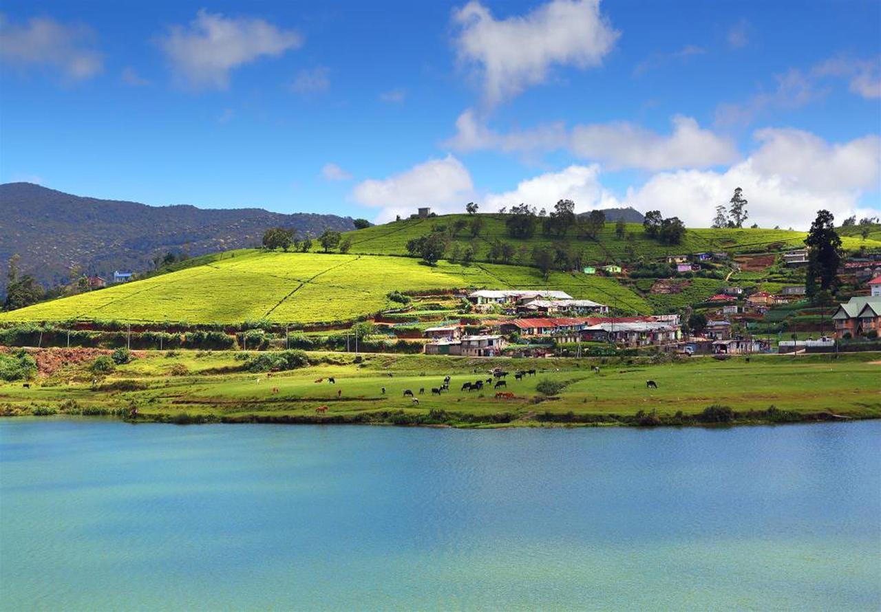 مبيت وإفطار نوفارا إيلِيا Hill View Bungalow المظهر الخارجي الصورة